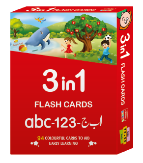 FLASH CARD (3in1) 2084